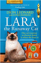 Lara the Runaway Cat